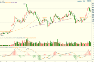 想起了2018清明节的豆粕 以及三哥的话