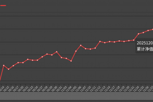 个人账户表现，仅作记录，投资有风险，该策略并不代表适用于所有人