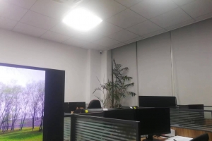 众生平等皆如蝼蚁，慧善力品独我几人。五年一亿宝龙传奇