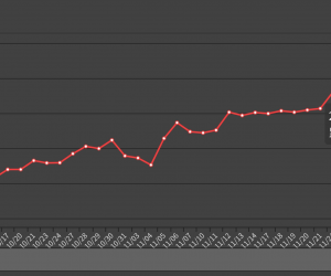 个人账户表现，仅作记录，投资有风险，该策略并不代表适用于所有人