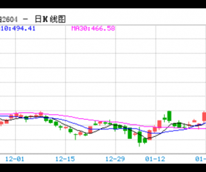 【周二收盘】多数品种收涨 能化板块涨停潮