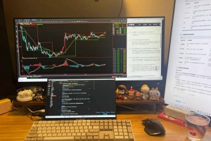 做了这么久了，也开个帖子