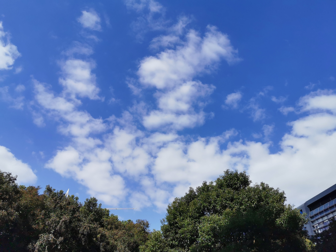 IMG_20191120_120126.jpg