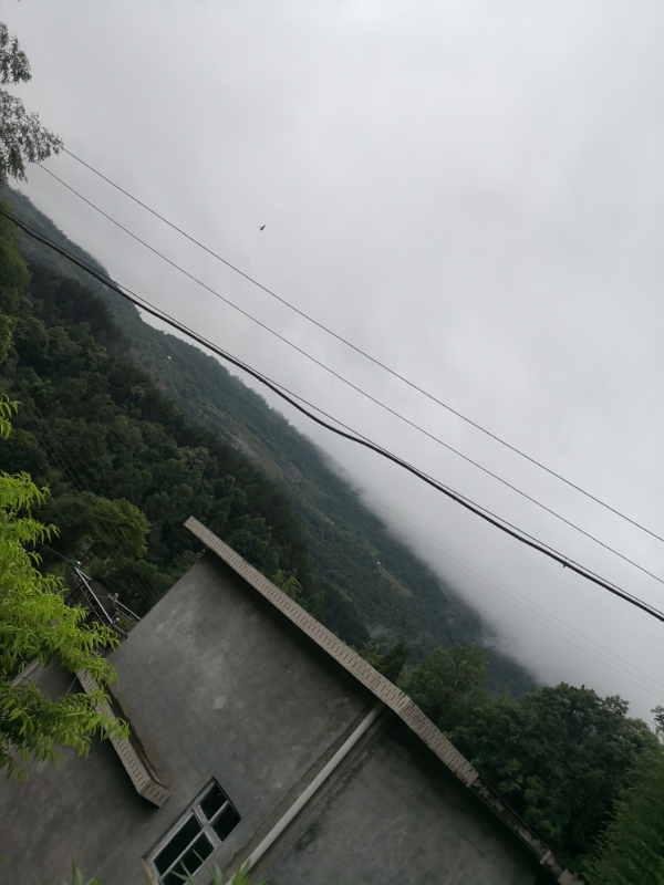 IMG_20200701_111427.jpg