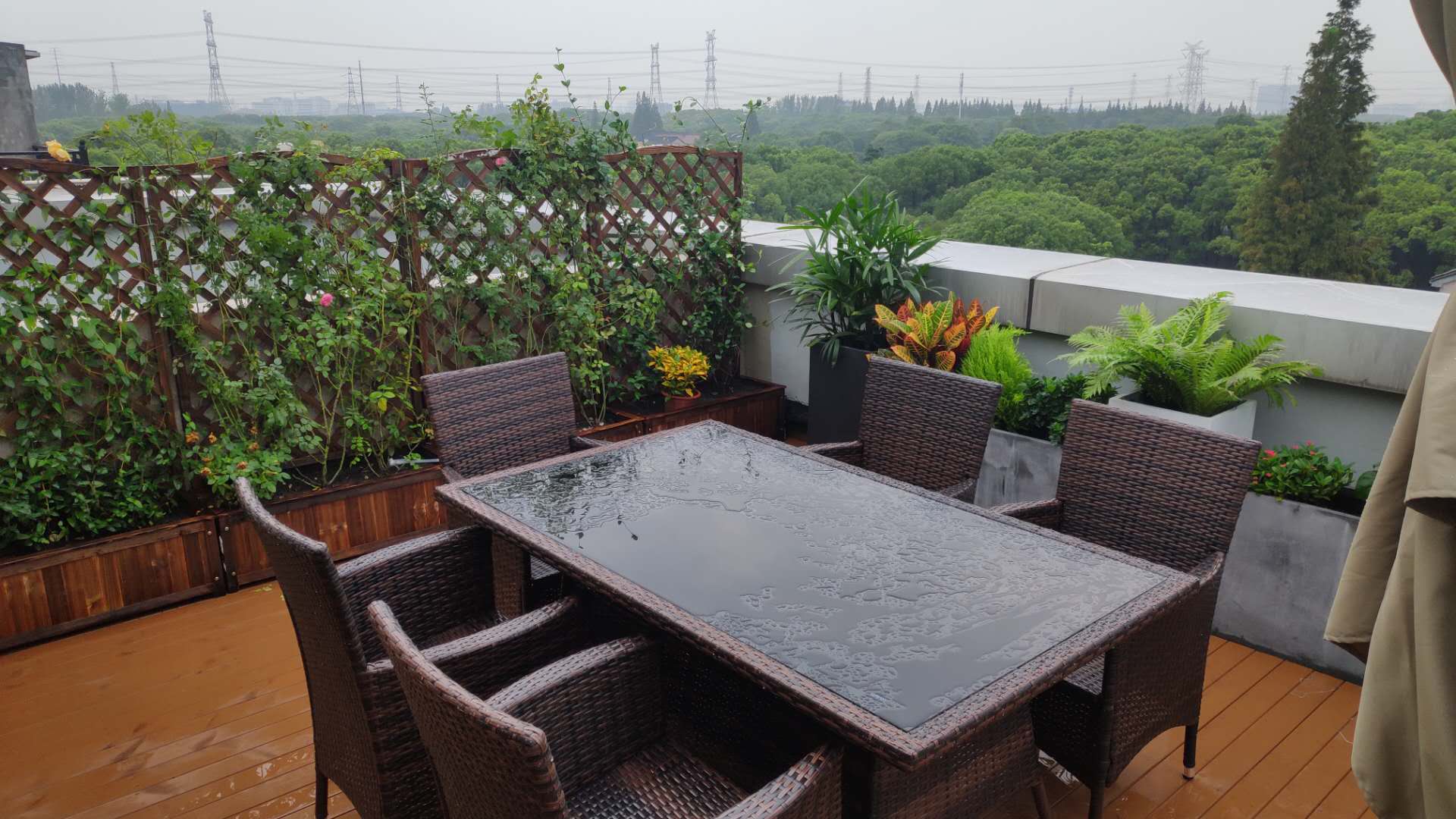 花园1.jpg