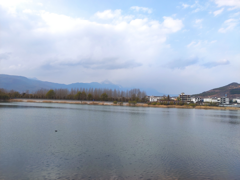 IMG_20210306_174108.jpg